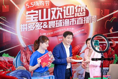 上海五五购物节 拼多多百亿补贴 拼多多农产品上行_拼多多助力网站在线刷新人