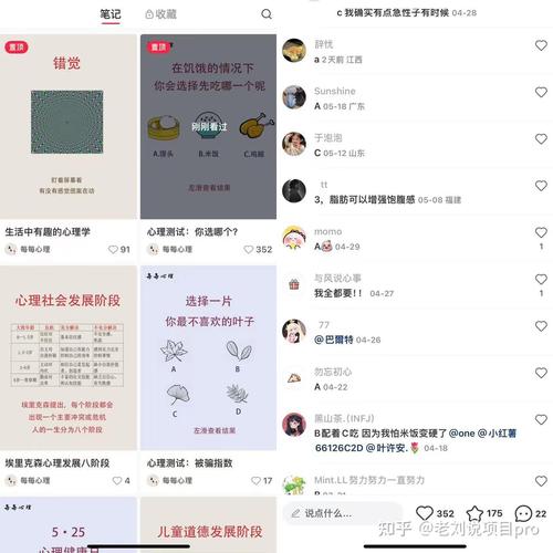 小红书露营商家交易率低_小红书露营电商闭环_小红书业务下单
