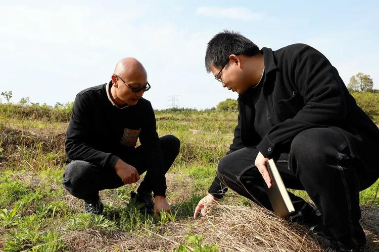 拼多多千亿扶持计划_智慧农业_拼多多互相助力