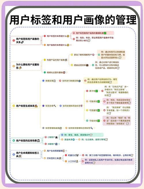 怎么才能在小红书上增加粉丝_合理使用标签提高曝光率_小红书粉丝积累攻略