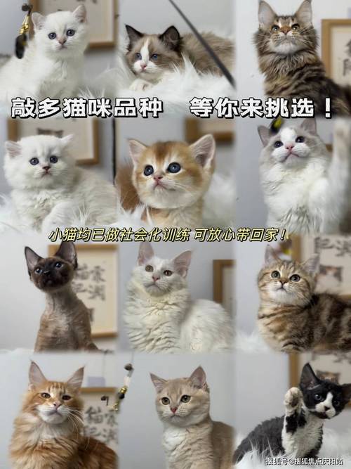 抖音播放24小时下单_抖音帮刷平台_球球业务24小时自助下单