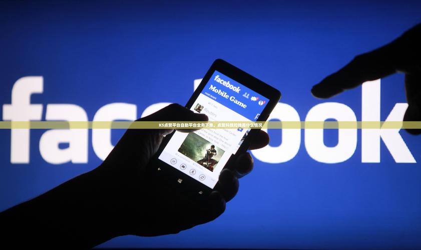 如何使用KS获取每美元1000赞的软件_KS软件每美元1000赞_快手作品点赞自助1元500